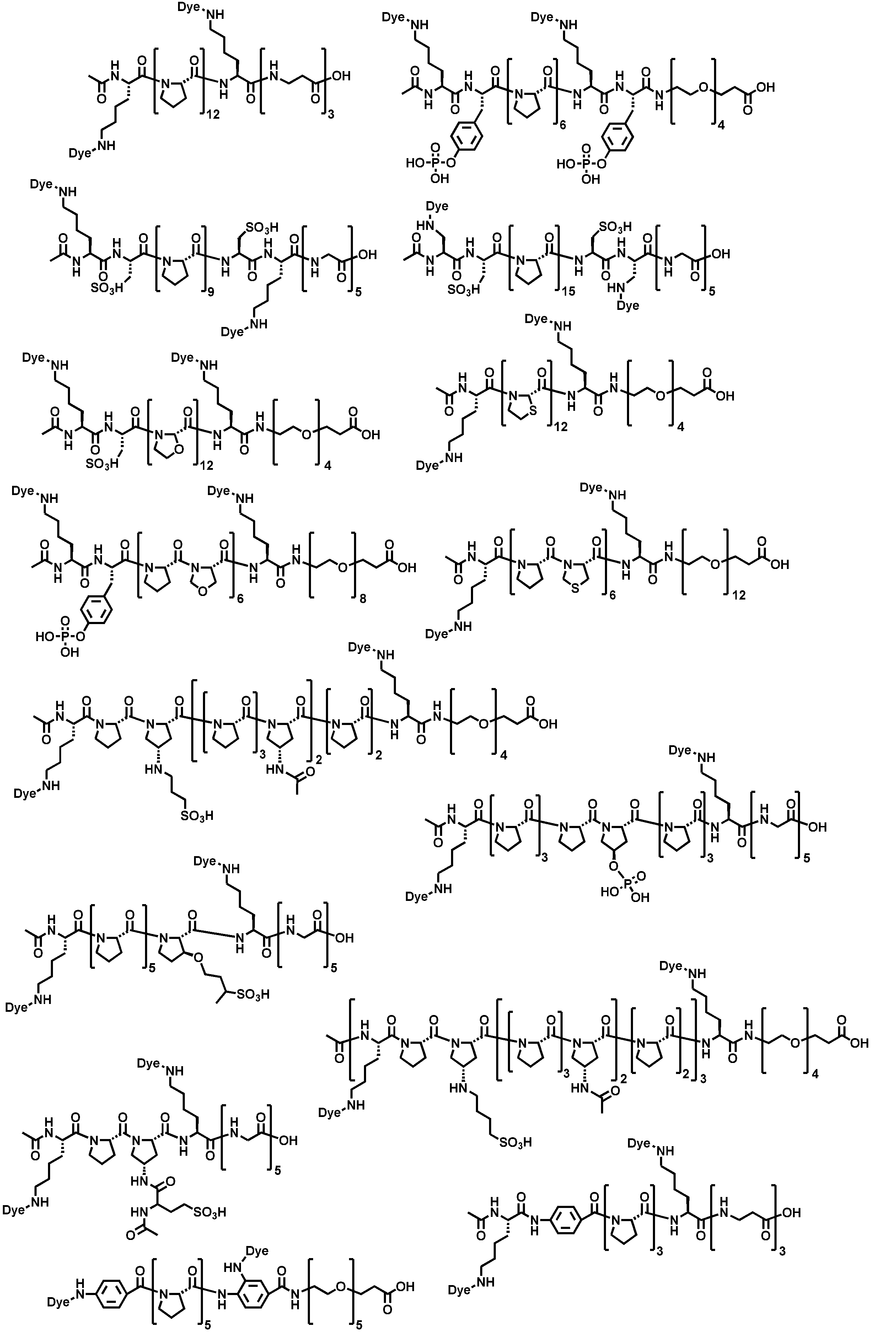Figure JPOXMLDOC01-appb-C000023