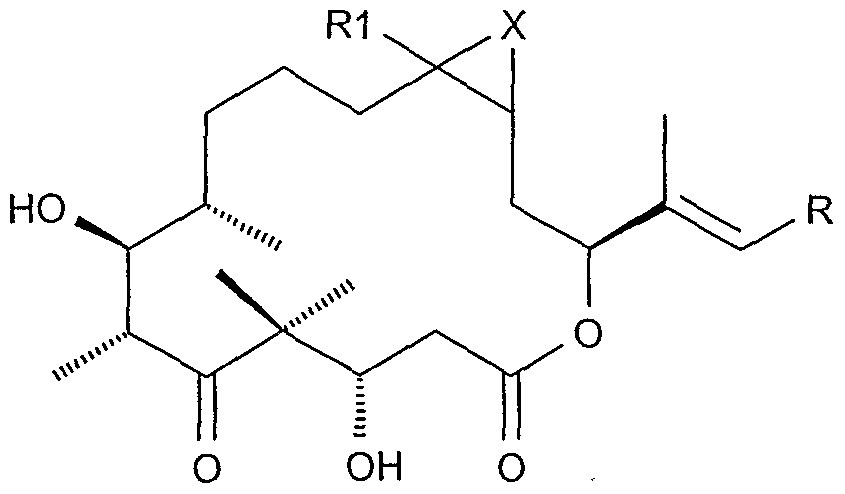 Figure imgf000002_0001