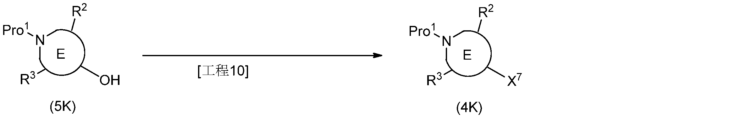 Figure JPOXMLDOC01-appb-C000043