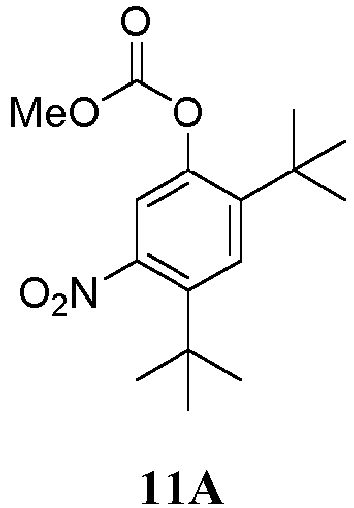 Figure imgb0019