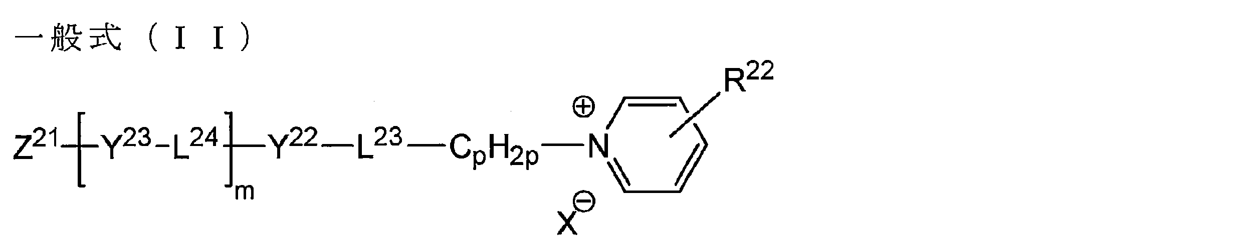 Figure JPOXMLDOC01-appb-C000002