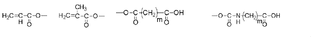 Figure JPOXMLDOC01-appb-C000037