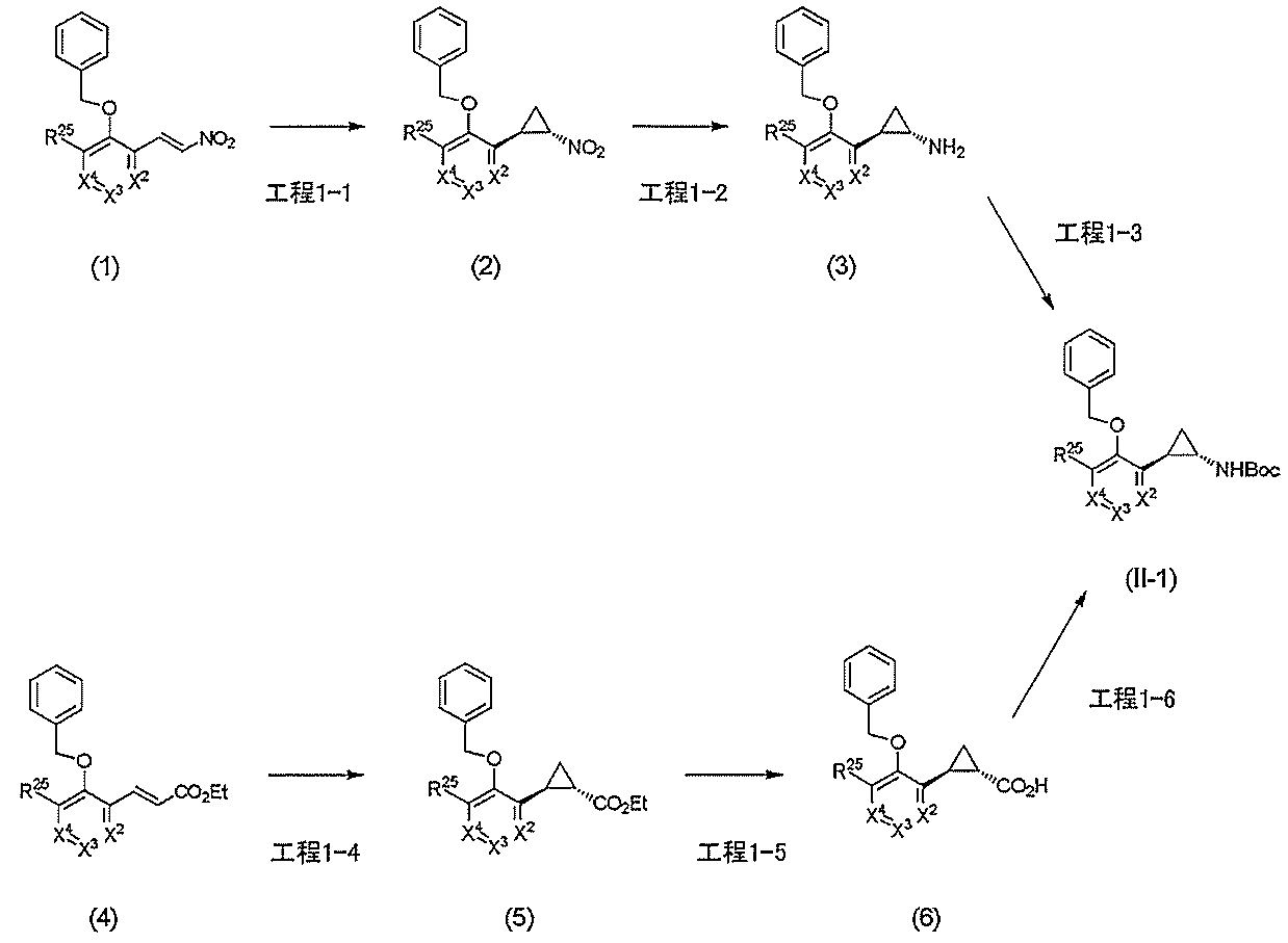 Figure JPOXMLDOC01-appb-C000054