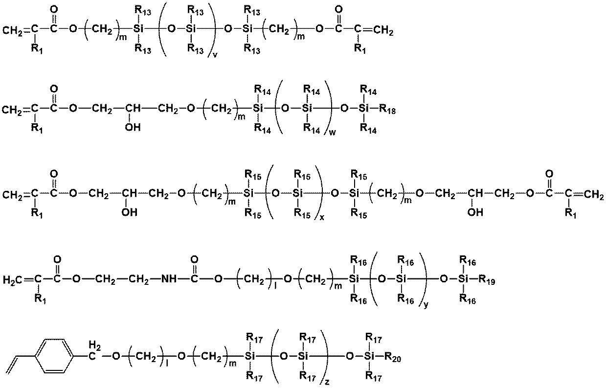 Figure JPOXMLDOC01-appb-C000011