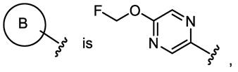 Figure JPOXMLDOC01-appb-C000008