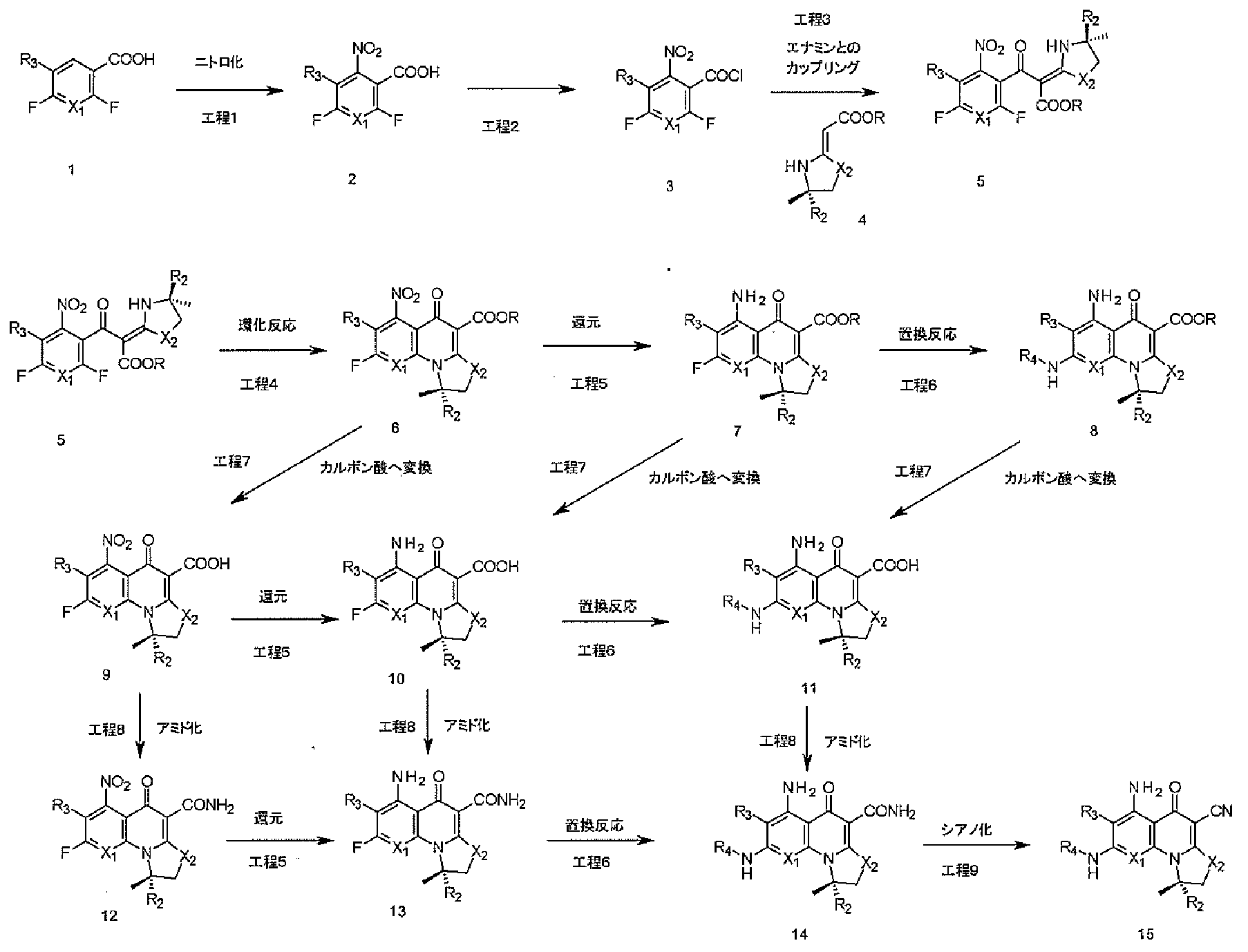 Figure JPOXMLDOC01-appb-C000011