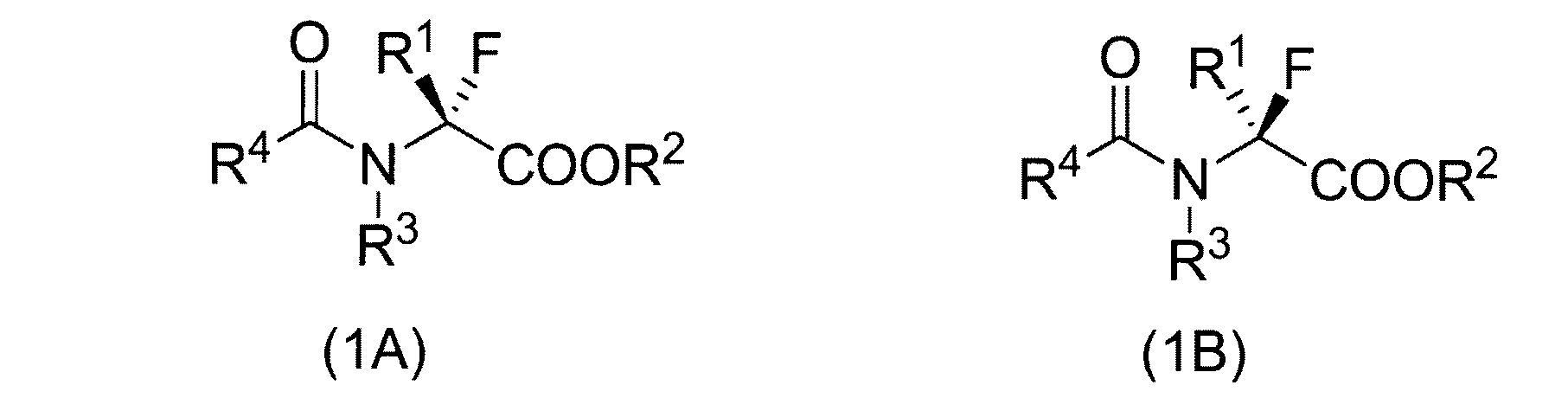 Figure JPOXMLDOC01-appb-C000006