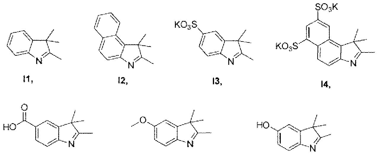 Figure imgf000005_0002