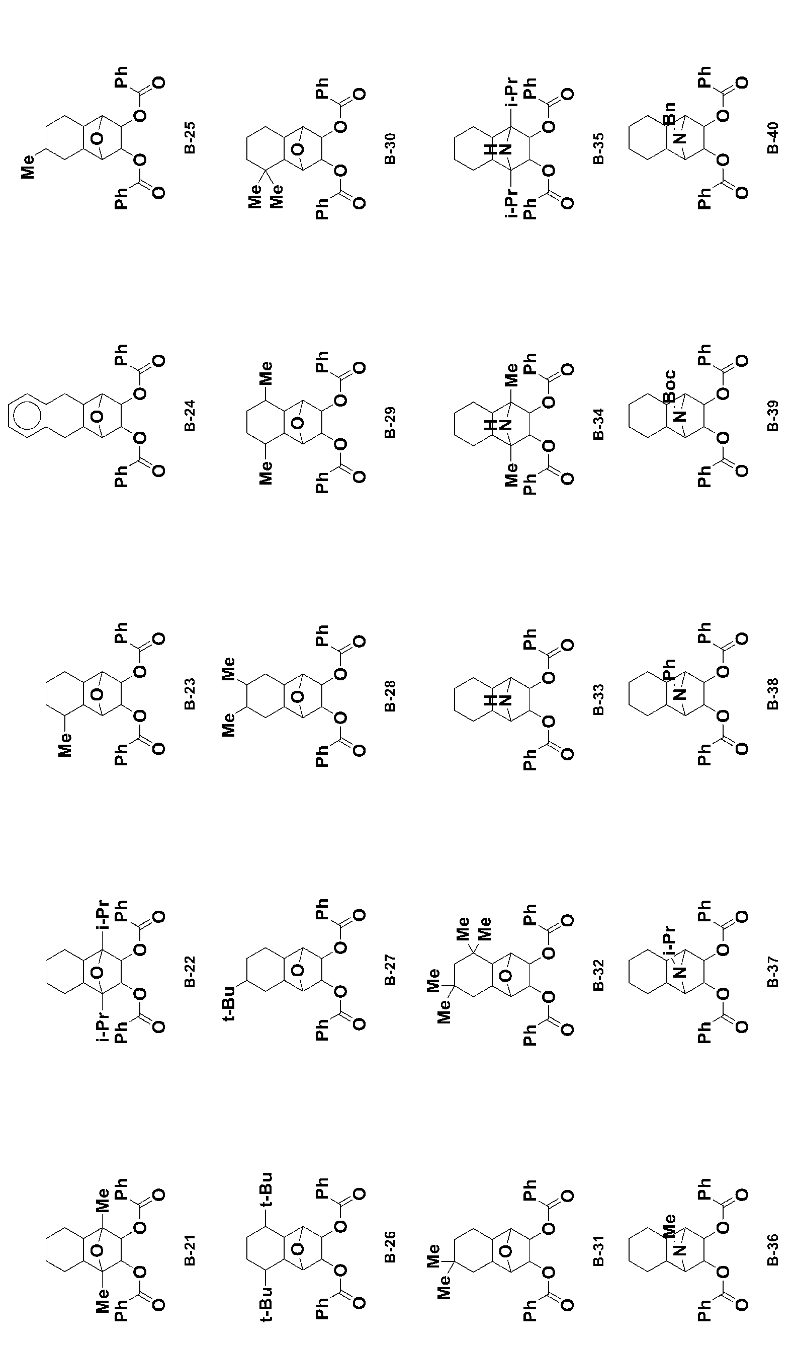 Figure JPOXMLDOC01-appb-C000013