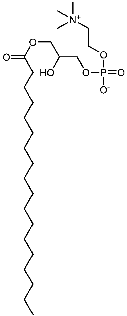 Figure imgb0014