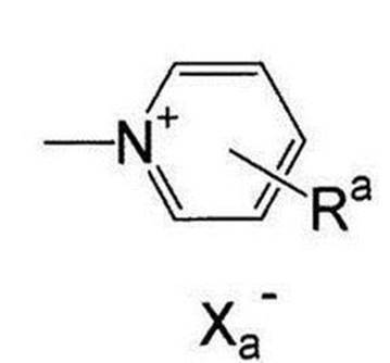 Figure JPOXMLDOC01-appb-C000013