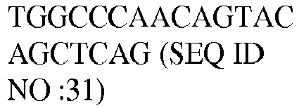Figure imgb0018