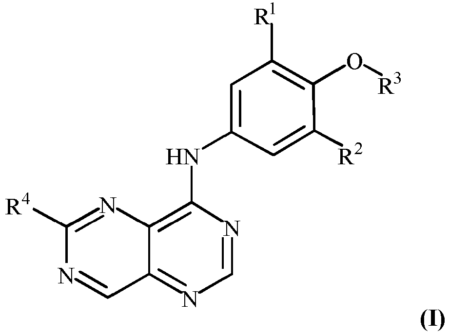 Figure imgb0001