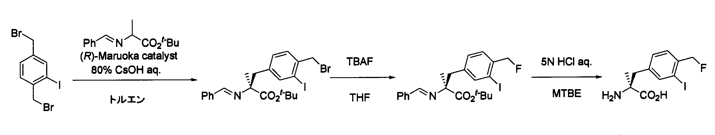 Figure JPOXMLDOC01-appb-C000048