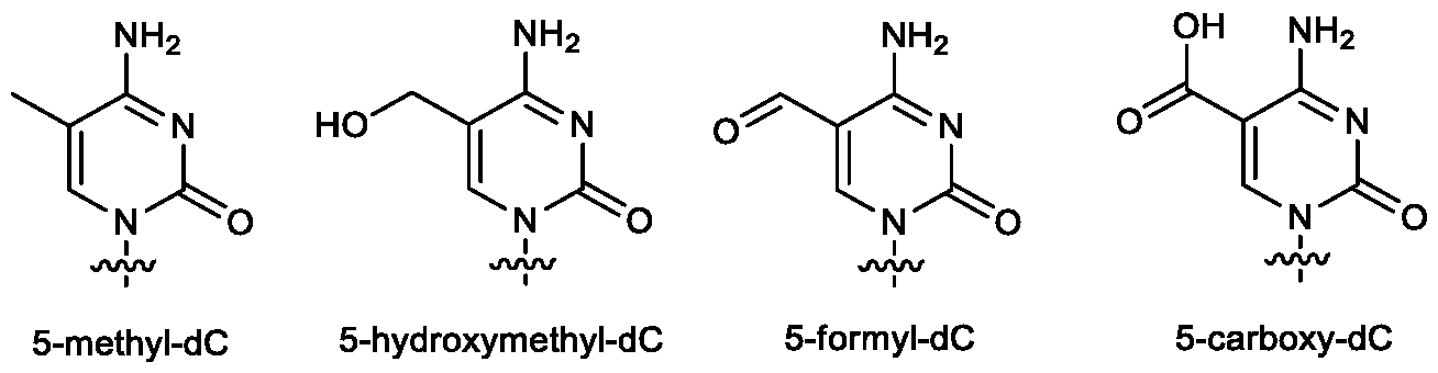 Figure imgf000053_0001