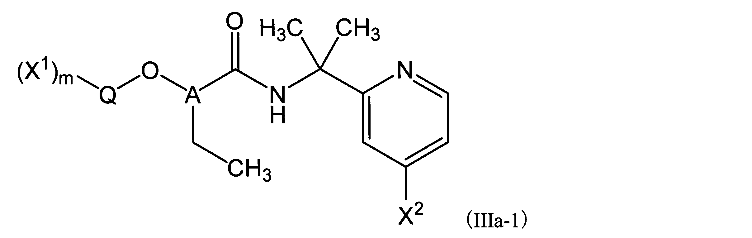 Figure JPOXMLDOC01-appb-C000021