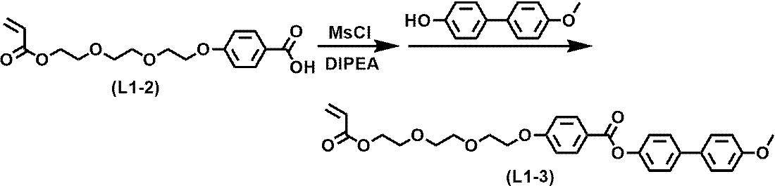 Figure JPOXMLDOC01-appb-C000024