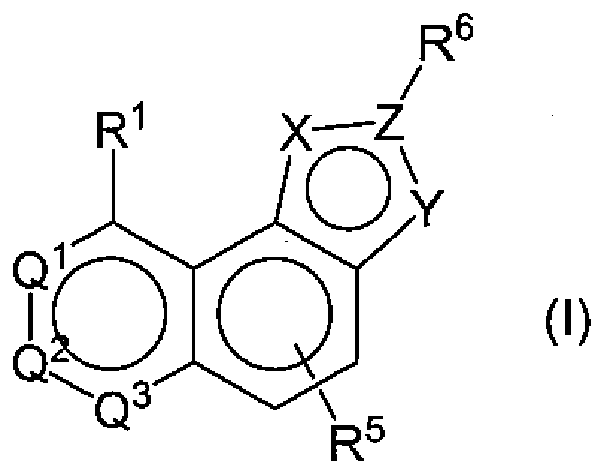 Figure imgb0197
