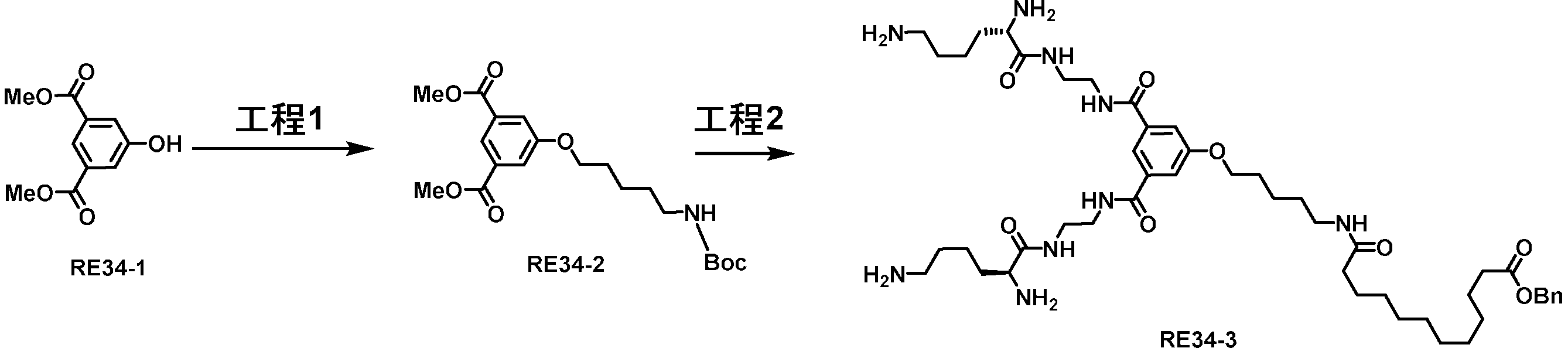Figure JPOXMLDOC01-appb-C000201