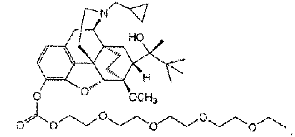 Figure imgb0024