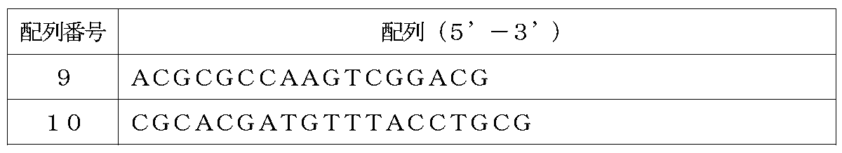 Figure 0007547511000002