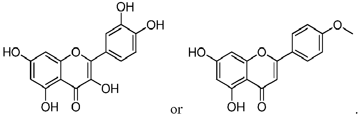 Figure imgb0004