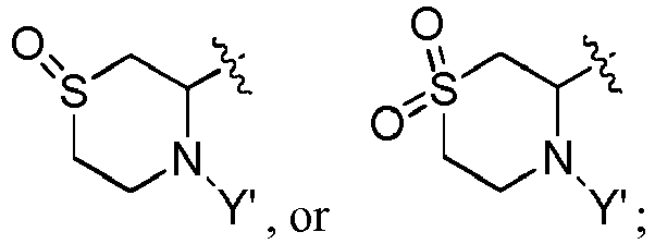 Figure imgb0045
