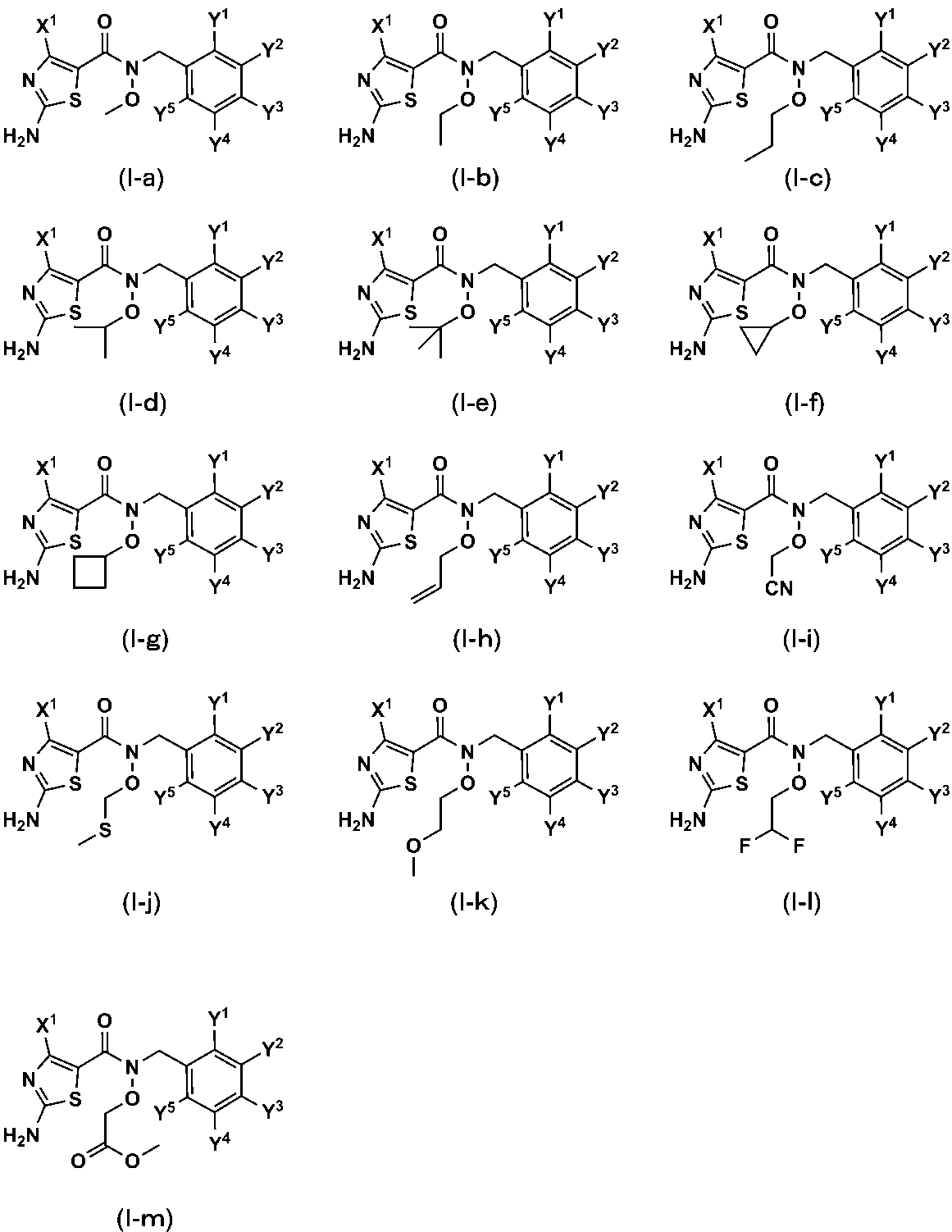 Figure JPOXMLDOC01-appb-C000012