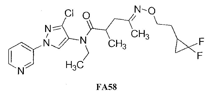 Figure pct00242