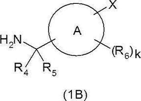 Figure JPOXMLDOC01-appb-C000218