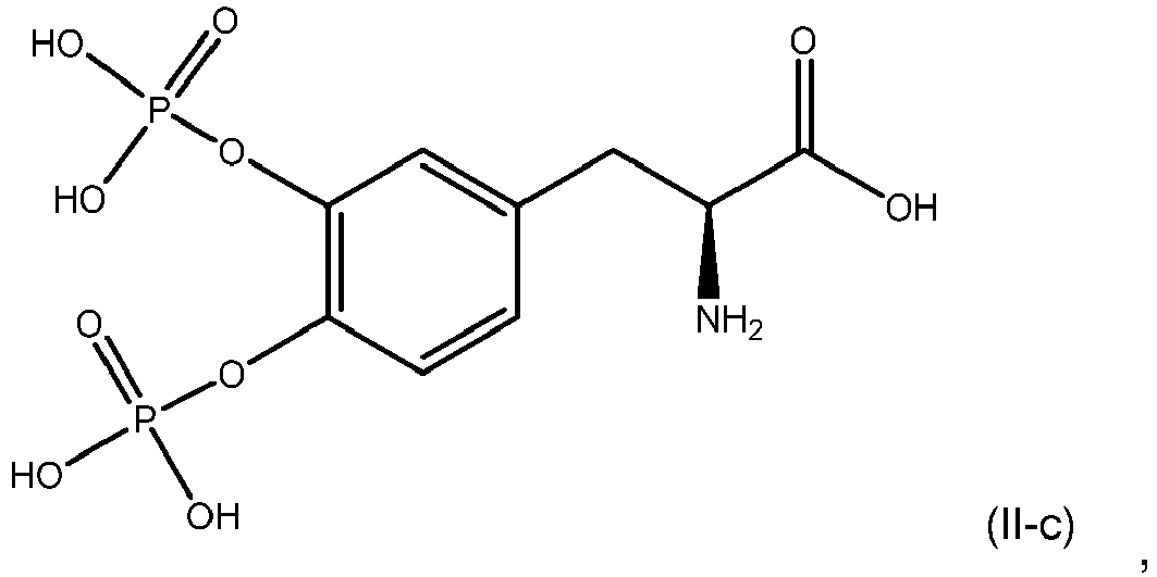 Figure imgb0093