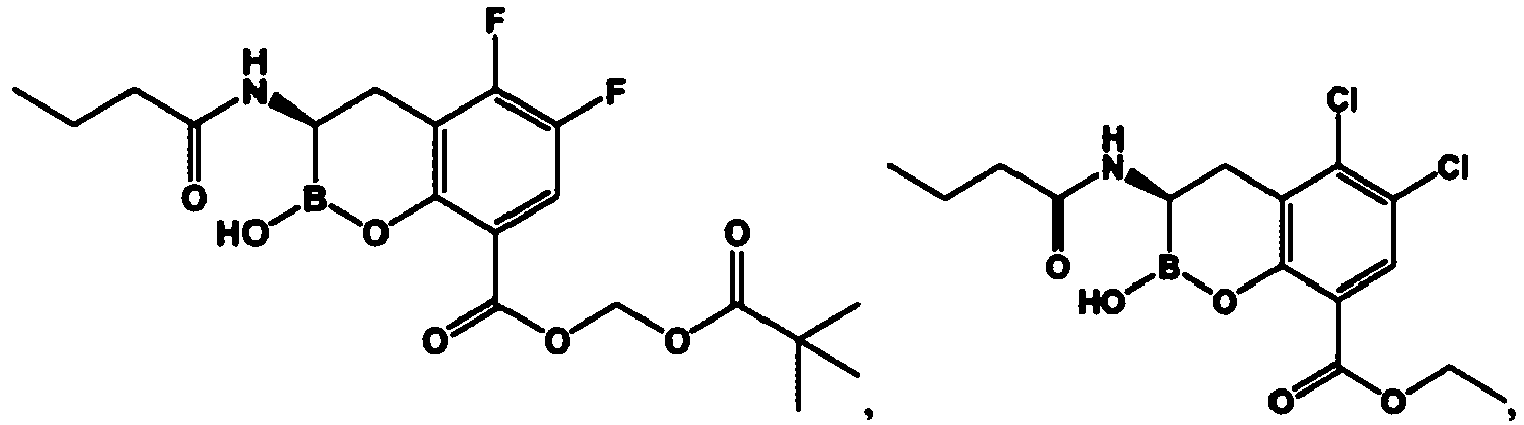 Figure imgb0202