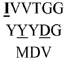Figure imgb0338