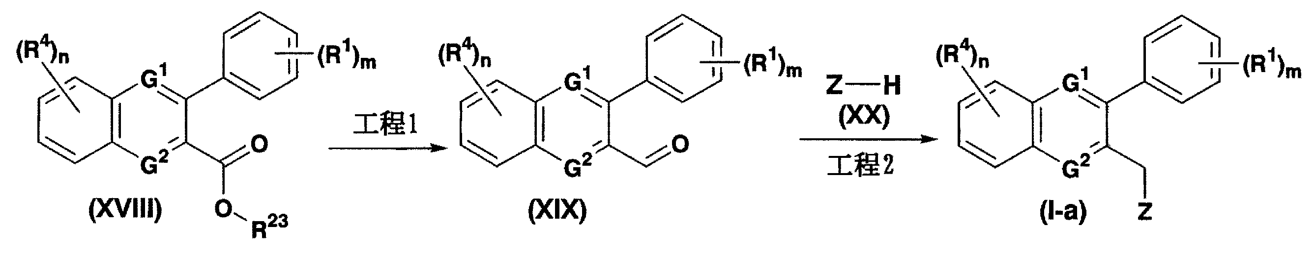 Figure JPOXMLDOC01-appb-C000047