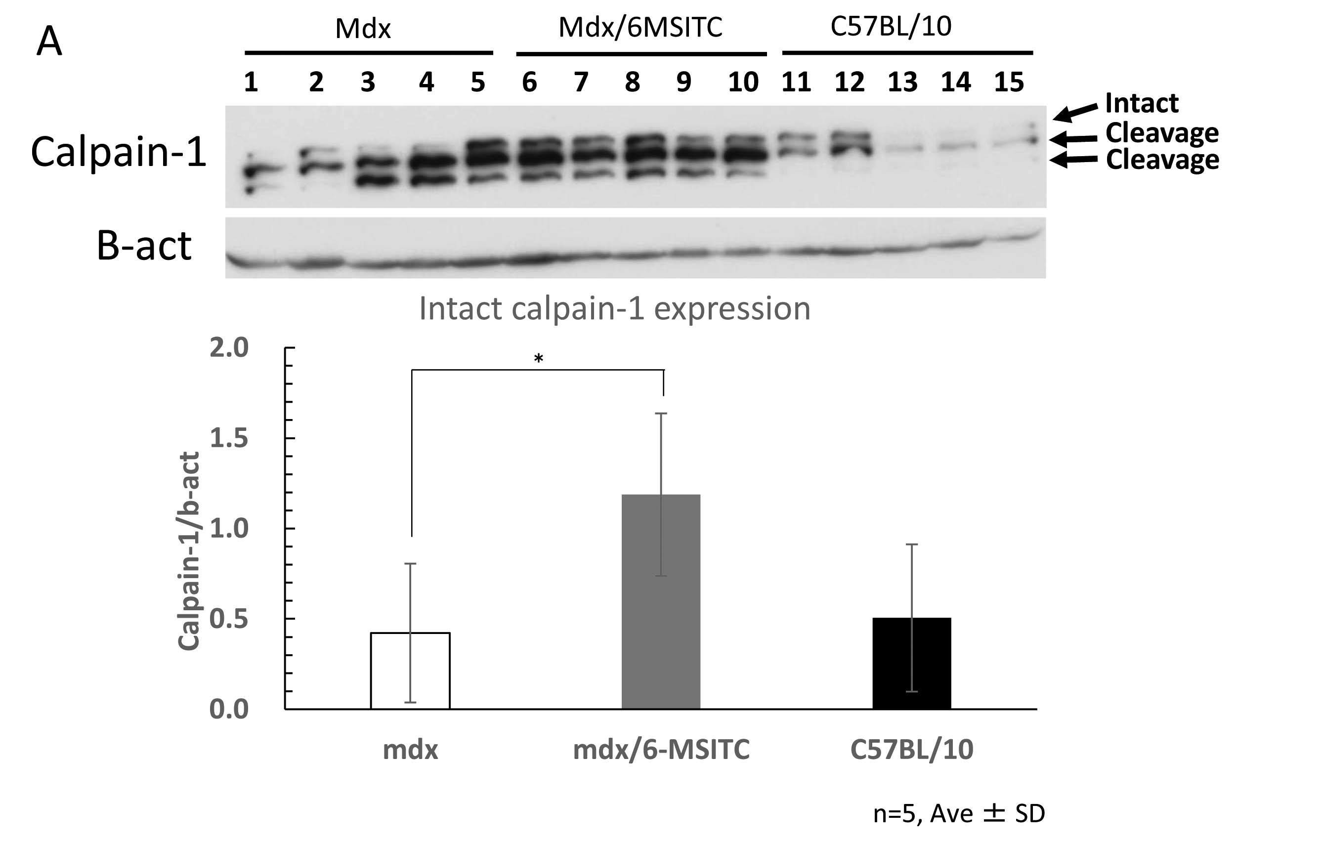 Wo2017061614a1 Inhibitor Of Muscle Damage Or Muscle Fatigue Google Patents