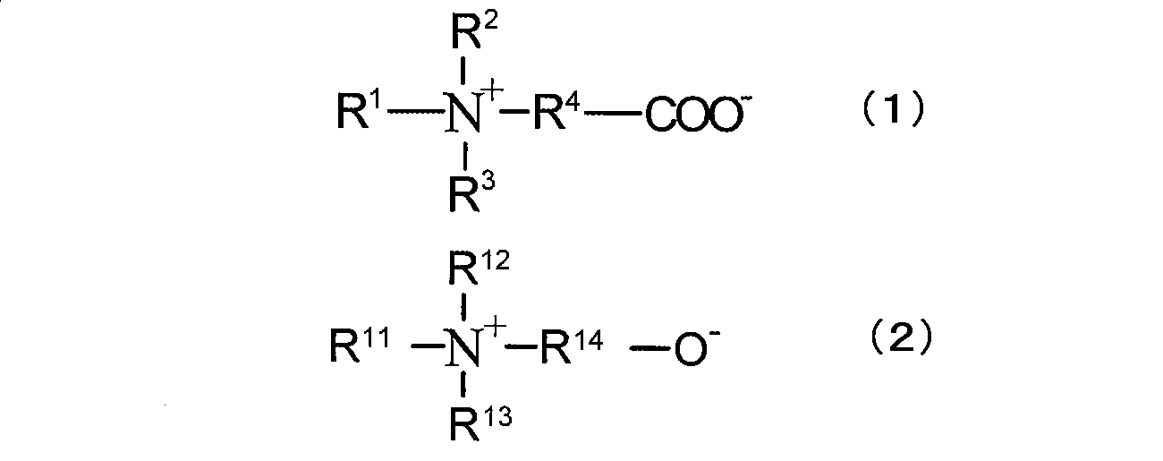 Figure JPOXMLDOC01-appb-C000010