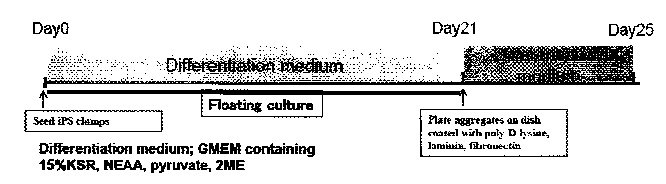 Figure JPOXMLDOC01-appb-C000001