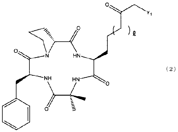 Figure JPOXMLDOC01-appb-C000004