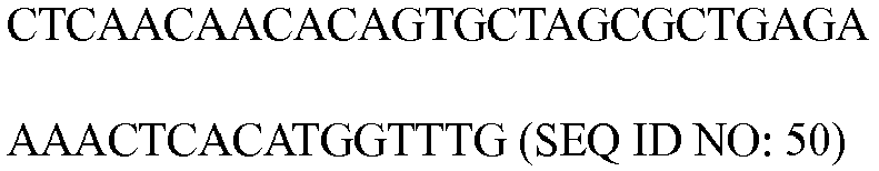 Figure imgb0013
