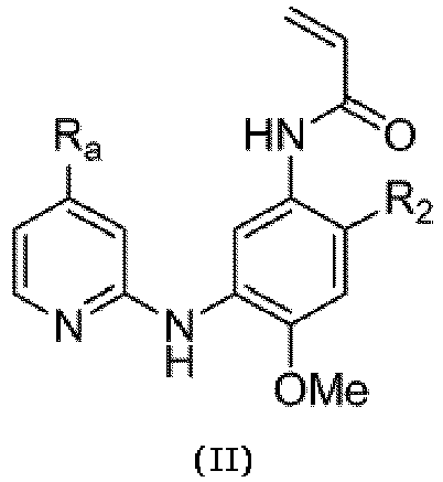 Figure imgb0030