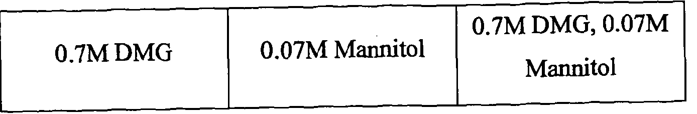 Figure imgf000053_0001