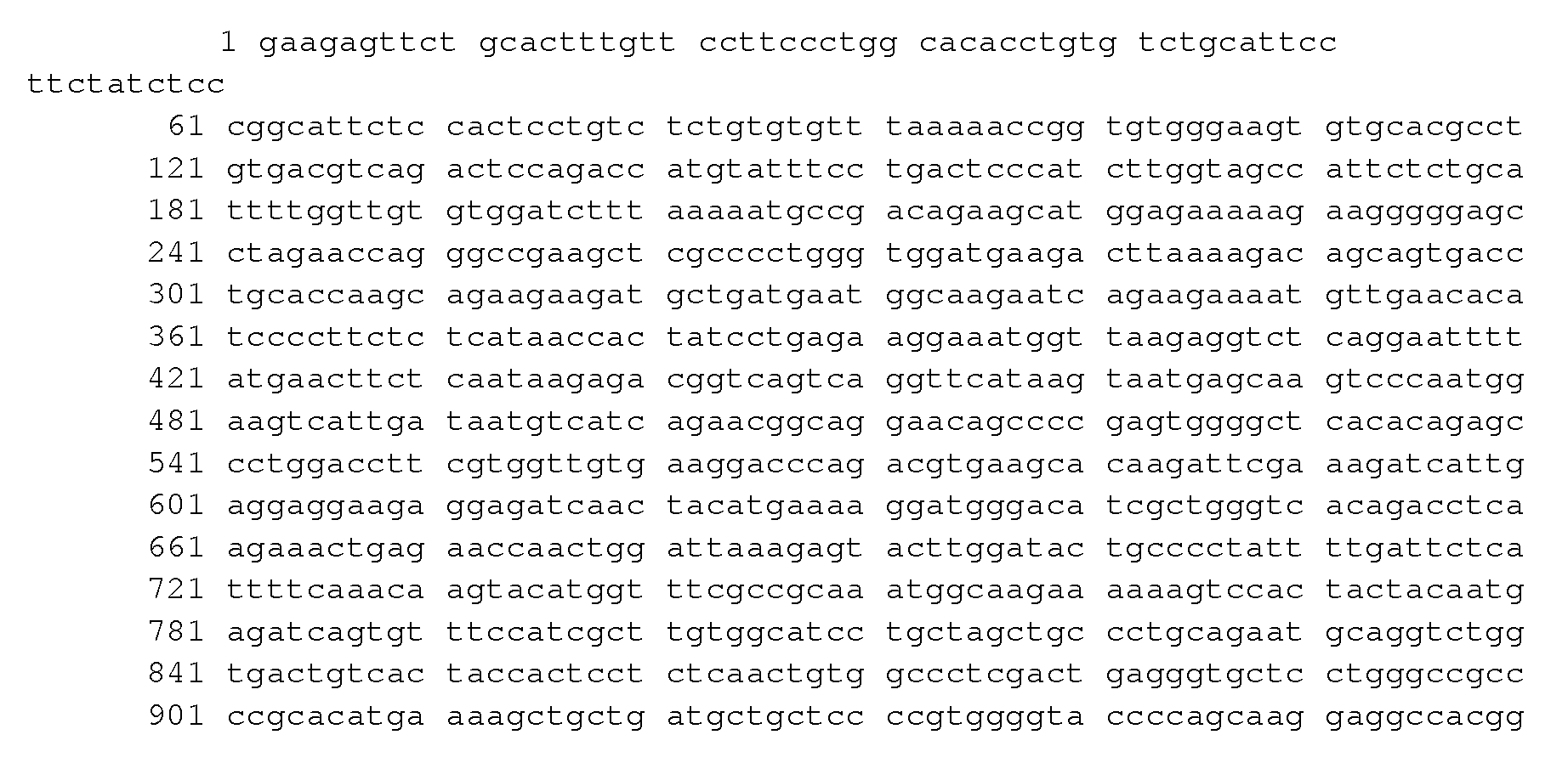 Figure imgf000016_0002
