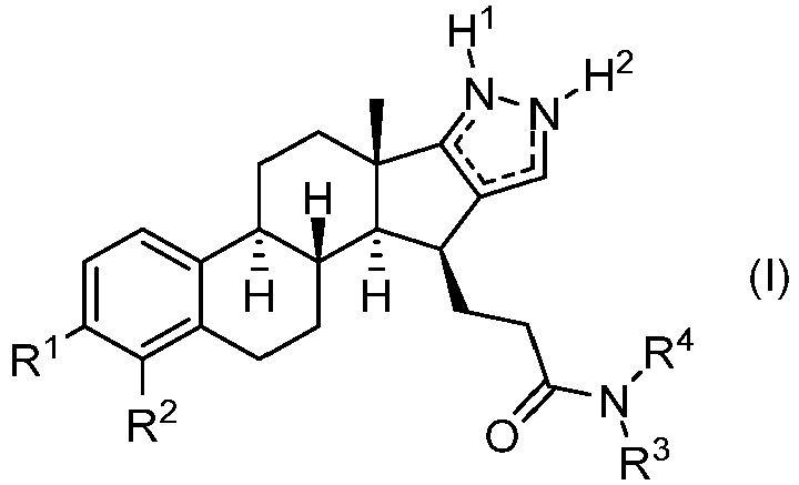 Figure imgb0303