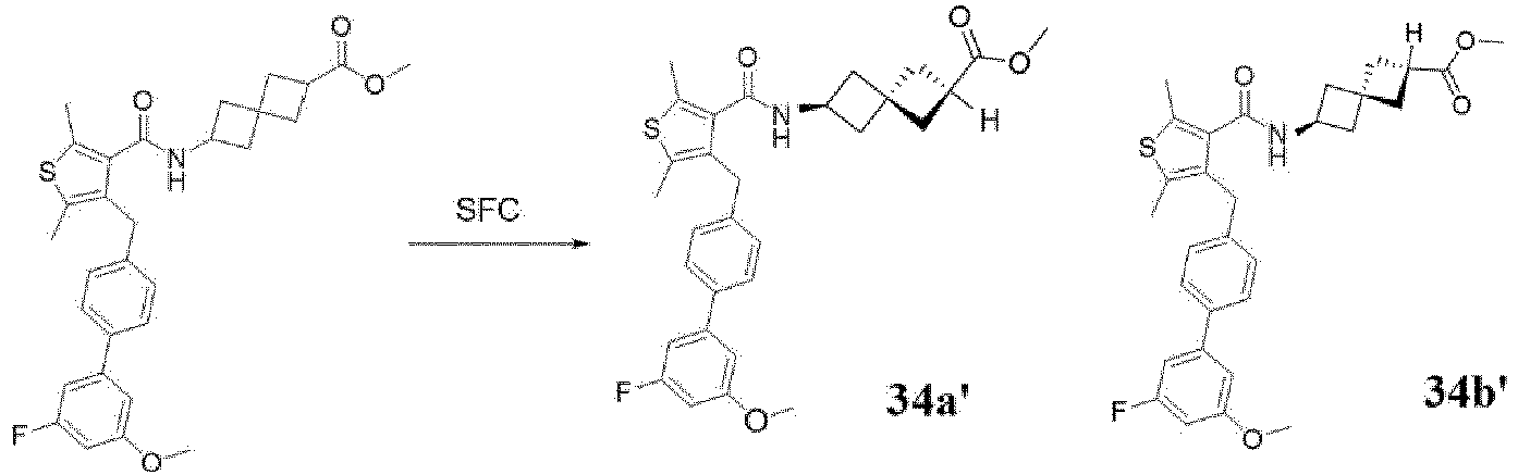Figure imgb0383
