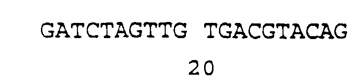 Figure imgb0010