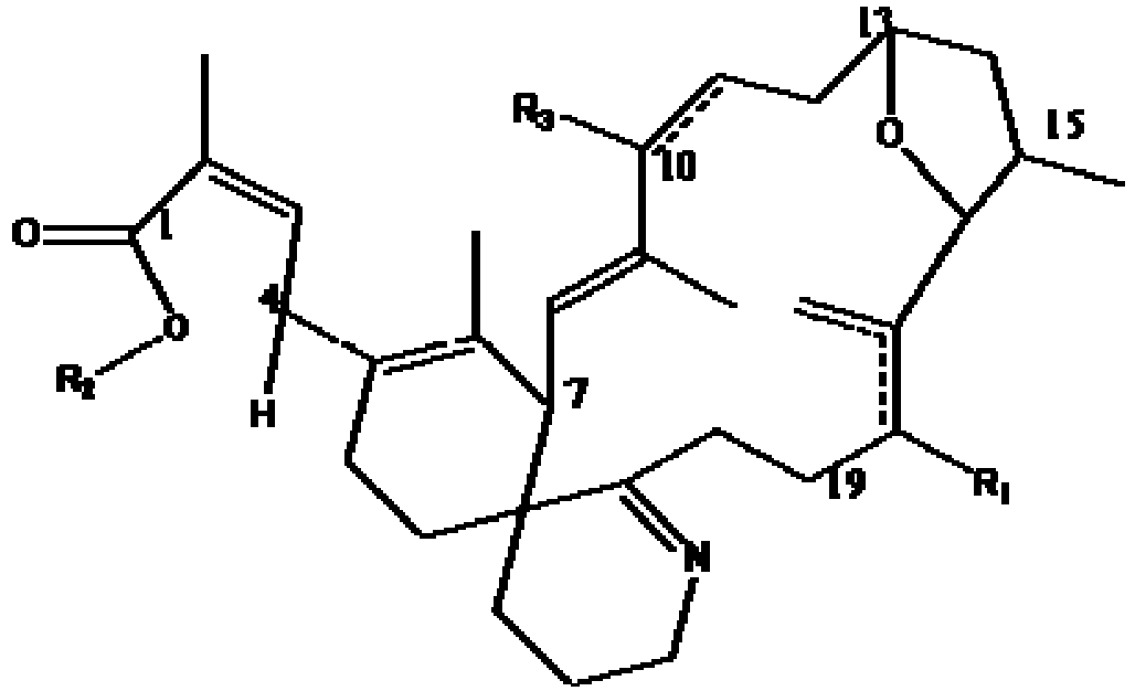Figure imgb0001