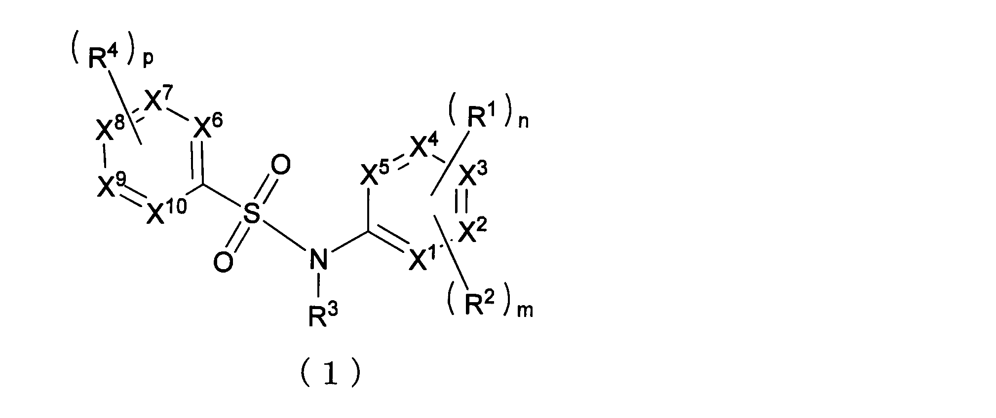 Figure JPOXMLDOC01-appb-C000013