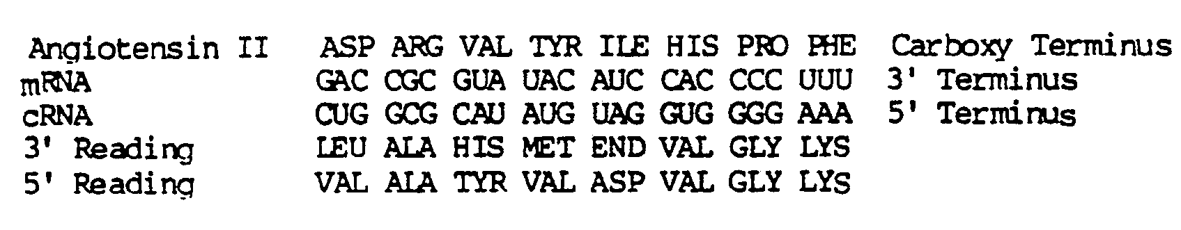 Figure imgb0034