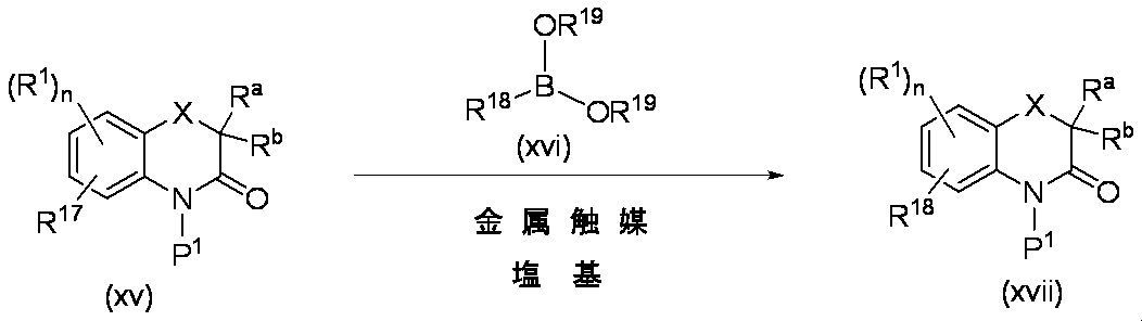 Figure JPOXMLDOC01-appb-C000079