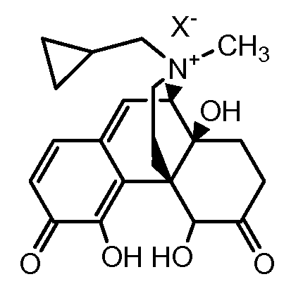 Figure pat00019